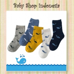 kaos kaki baru  large